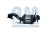Катализатор BM CATALYSTS BM91685H