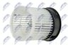 EWN-NS-002_1-WM.JPG