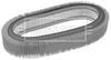 BFA2356_179175.JPG