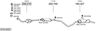 SYS10407.JPG