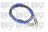QH_BC2617.JPG