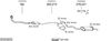SYS10474.JPG