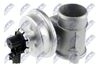 EGR-FR-000_2-WM.JPG