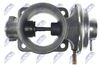 EGR-BM-005_3-WM.JPG