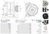 A01437(SEG)_256960.JPG