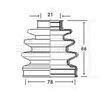 BCB2315_235027.JPG