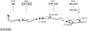 SYS10362.JPG