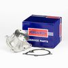 Borg & Beck water pump kit - BWP2490