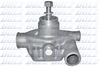 P358.BMP