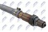 ESL-VW-012_2-WM.JPG