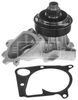 BWP1993_983339.JPG