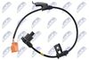 HCA-HD-059_1-WM.JPG