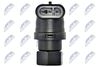 ECP-FT-008_4-WM.JPG