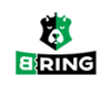 B-RING HBT0802 Натяжной ролик ремня ГРМ  для CHEVROLET  (Шевроле Спарk)