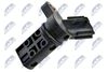 ECP-NS-019_2-WM.JPG