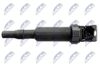 ECZ-BM-000_4-WM.JPG