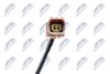 EGT-FT-025_3-WM.JPG
