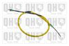 QH_BC4033.JPG