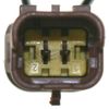 273-20341_4.JPG