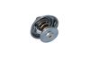 Termostat, chladivo 725117