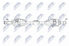 NPW-MS-088_9-WM.PNG