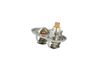 Termostat, chladivo 725393