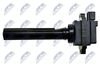 ECZ-SU-006_3-WM.JPG
