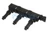 CL217.BMP