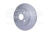 355110271_B.JPG