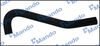 DCC020870(1).JPG