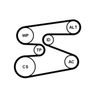 CONTINENTAL CTAM Water Pump + V-Ribbed Belt Kit 6PK1698WP2