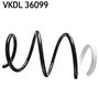 VKDL 36099.JPG