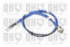 QH_BC3810.JPG