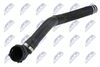CPP-FT-008_1-WM.JPG