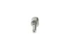 Bosch Nozzle 0433172019