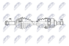 npw-mg-008_9-wm.PNG