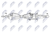 NPW-VV-167_9-WM.PNG
