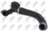 cpp-vw-027_2-wm.JPG