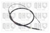 QH_BC4149.JPG