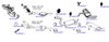 OP-EXSST250_20260529081859.JPG