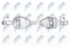 NPW-NS-132_9-WM.PNG