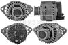 BBA2239_188359.JPG