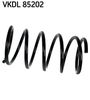 VKDL 85202.JPG