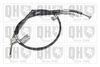 QH_BC2995.JPG