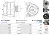 A01445(SEG)_256960.JPG