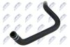 CPP-FT-014_2-WM.JPG