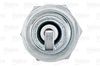 VALEO_SPARK_PLUG_246879_03.JPG