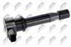 ECZ-FT-002_1-WM.JPG