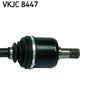 VKJC 8447_3.JPG