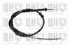 QH_BC3976.JPG